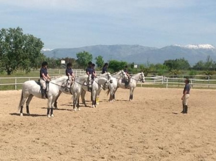Extremadura conceder ayudas para fomento de cra seleccin y doma de caballos de silla