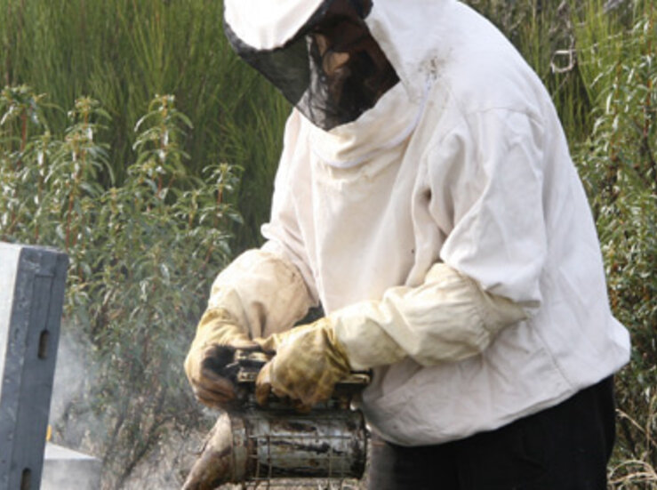 Los apicultores piden a la Junta prstamos a cero inters