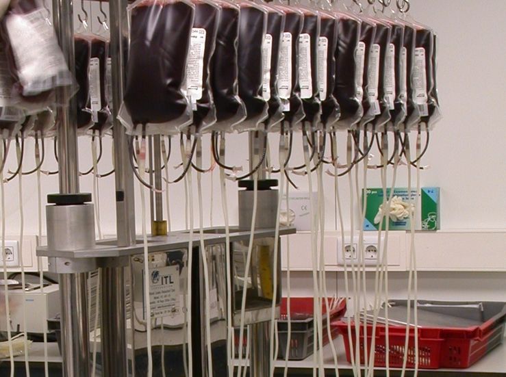 Los equipos mviles del Banco de Sangre de Extremadura realizarn 65 colectas en octubre