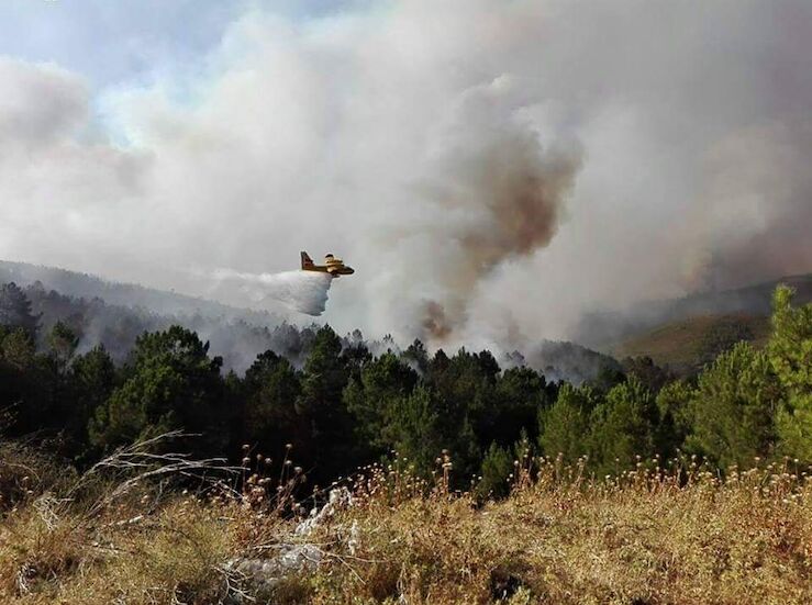 TRAGSA se encargar de los planes periurbanos de prevencin de incendios en Hurdes y Gata