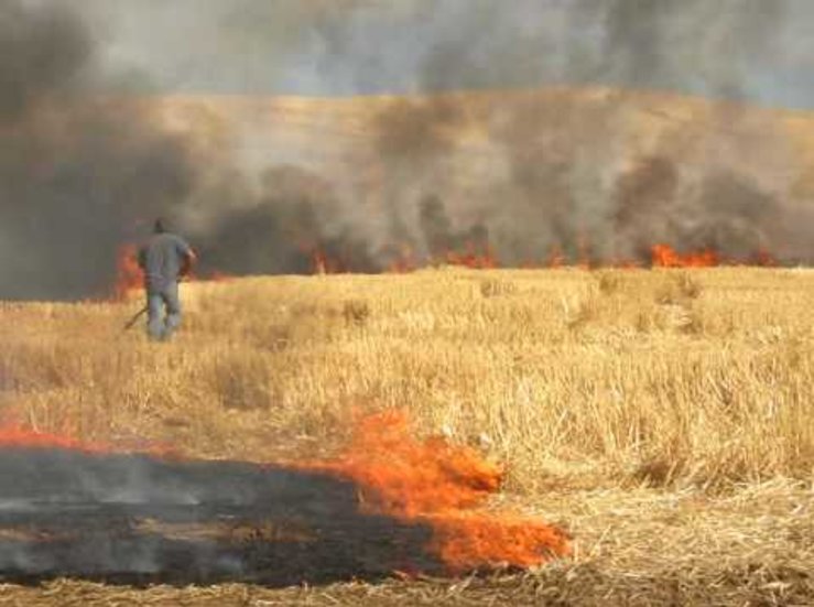 El Plan Infoex aconseja no realizar quemas de restos vegetales y leosos en zonas regables