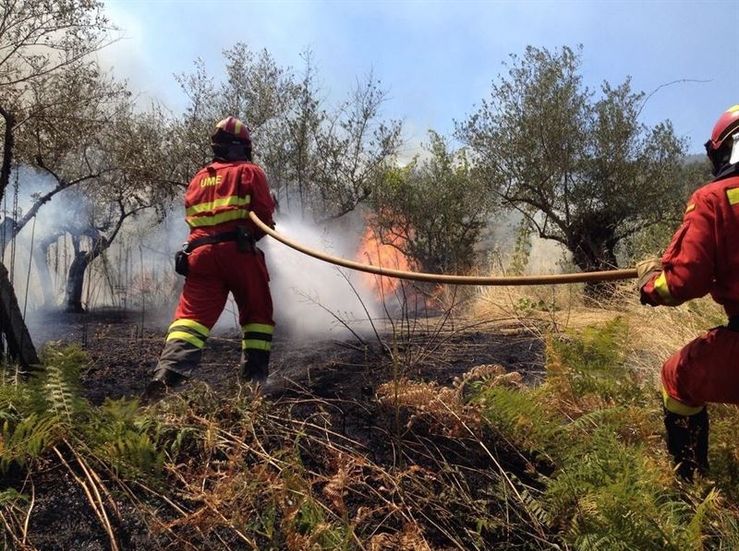 CCOO se concentra en Mrida para exigir a Junta categora profesional de bombero forestal