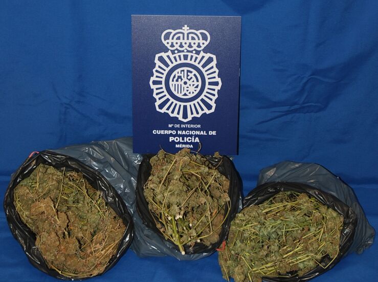 Tres detenidos por enviar 12 kilos de marihuana por mensajera