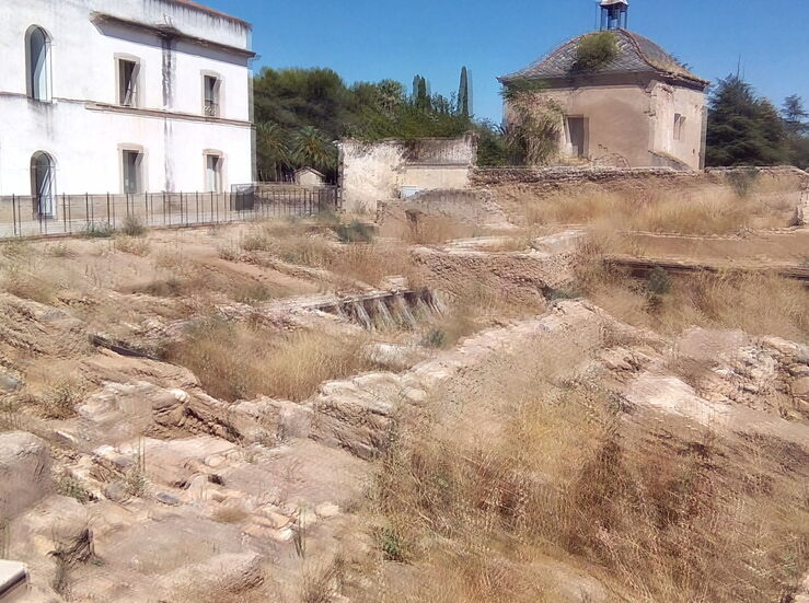Denuncia restos arqueolgicos abandonados en la Alcazaba