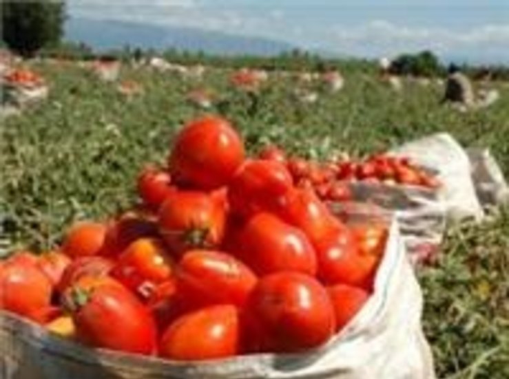 CCOO organiza jornadas en Navalmoral y Don Benito sobre el sector agropecuario