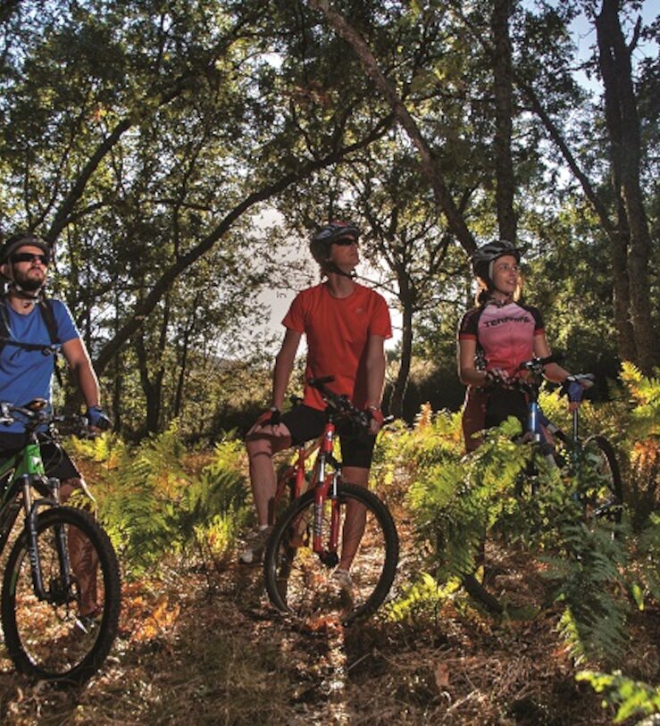 La seguridad se consolida como el factor clave en el turismo de aventura