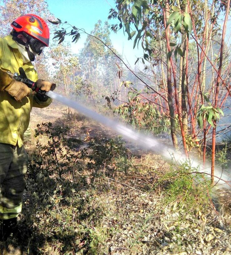 Publicada en el DOE convalidacin decreto ayudas para recuperacin de zonas tras incendios