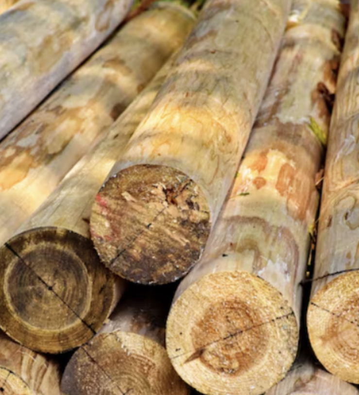 La madera de acacia transforma los espacios exteriores