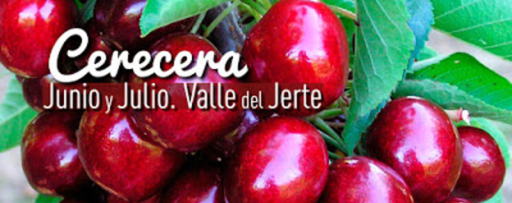 La fiesta de la Cerecera tie de rojo El Valle del Jerte