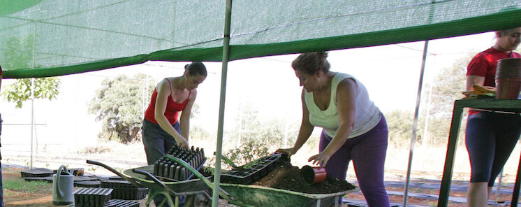 El Plan de Empleo Social generar 3199 empleos en entidades locales en su IV Edicin