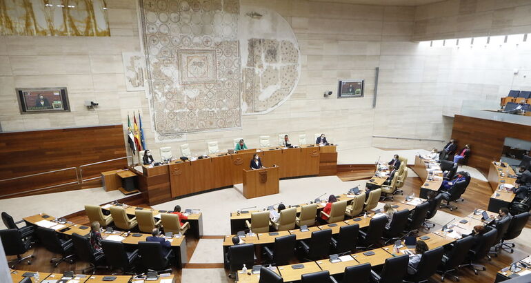 Aprobadas 254 de las 593 propuestas de resolución presentadas por ...