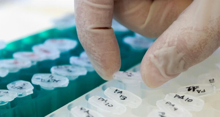 PP pide fondos para atraer a médicos y PSOE afirma que la región es la que más invierte