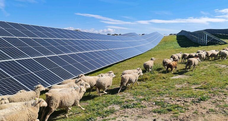 Vara resalta la competitividad de Extremadura, líder en energías renovables