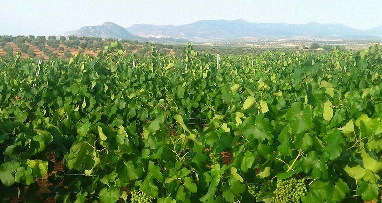 Convocado I Premio Nacional de Periodismo Ruta del Vino y Cava Ribera del Guadiana