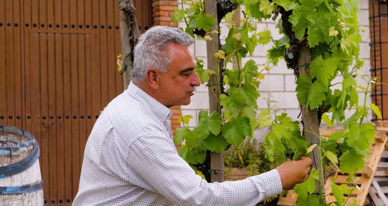 Tradición e innovación se fusionan de la mano de Juan Leandro Romero, un artesano del vino