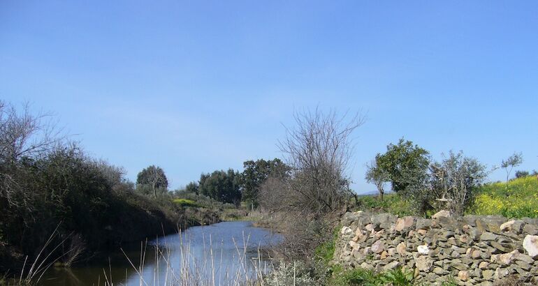 GPEX convoca cuatro nuevas ofertas de empleo