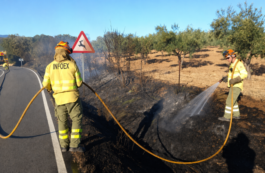 Casi 2200 aspirantes se examinan este fin de semana para 195 plazas de bombero forestal
