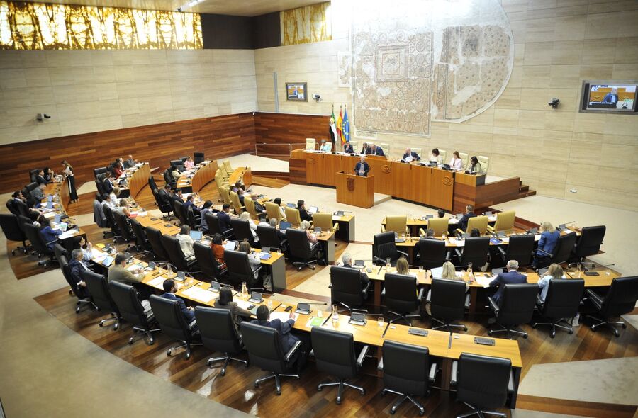 La Asamblea convalida el decretoley para la mejora de la atencin a personas con ELA