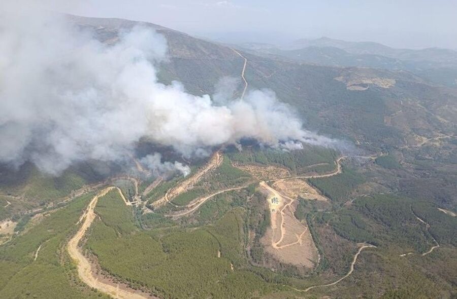 El incendio de Pinofranqueado ha arrasado ya 2200 hectreas principalmente de pinar
