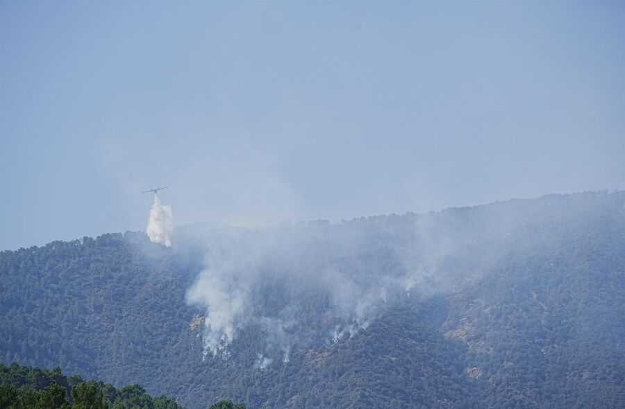 Incendio de Pinofranqueado afecta a 3700 hectreas y mantiene nivel 2 peligrosidad