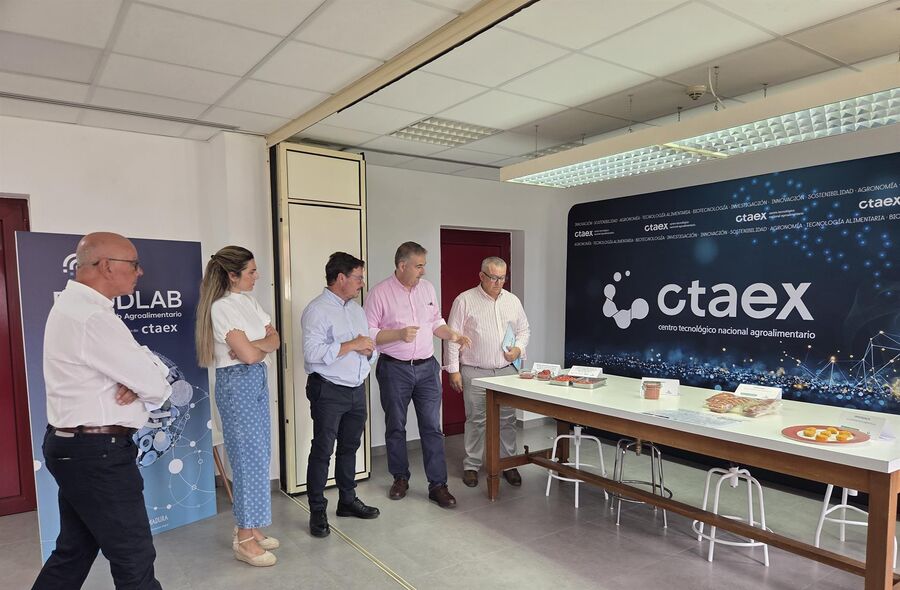 Extremadura crear Instituto del Tomate para aumentar calidad del sector en exportaciones
