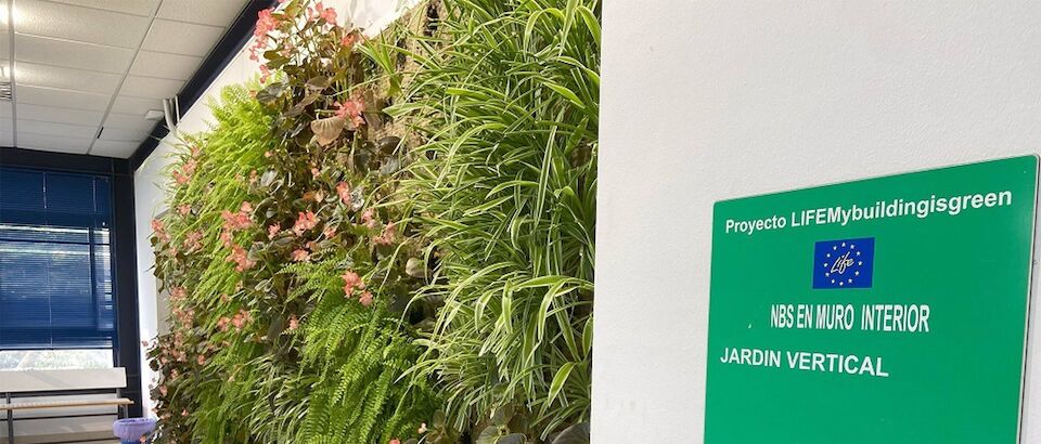 Conselho Provincial de Badajoz faz levantamento da biodiversidade no CEIP Gabriela Mistral Solana de los Barros