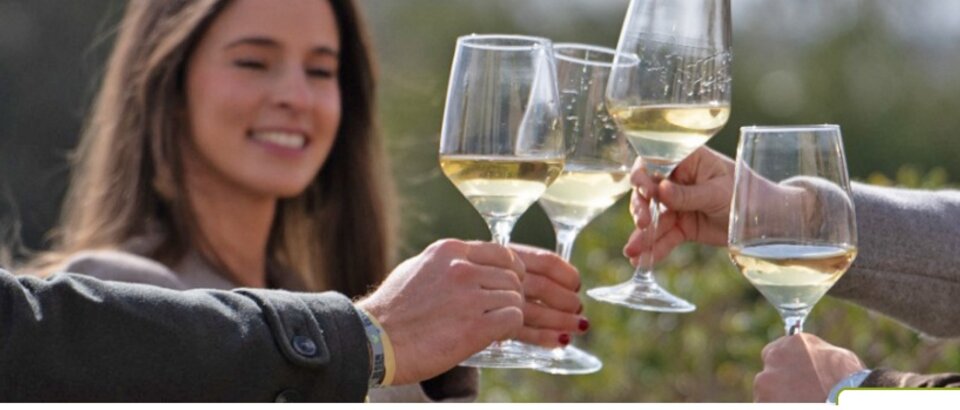 Ruta del Vino y Cava Ribera del Guadiana muestra otra manera de conocer Extremadura