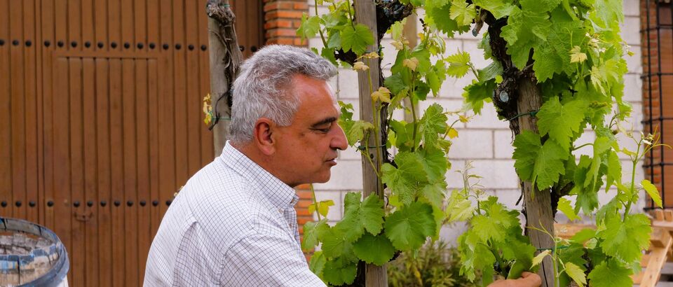 Tradición e innovación se fusionan de la mano de Juan Leandro Romero, un artesano del vino