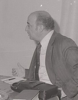 LAS VENTANAS DE FERNANDO Y TEOFILO