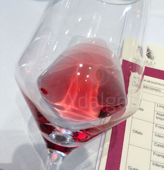 Fase Visual del vino