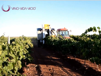 Compañeros de vendimia!!