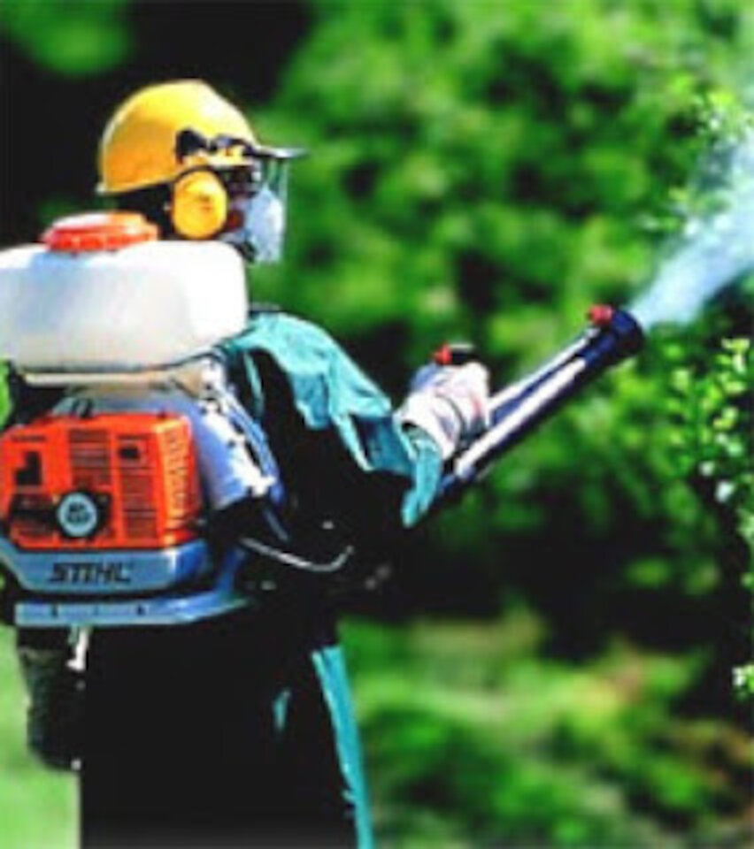 Editadas nuevas fichas técnicas sobre plagas, enfermedades y malas