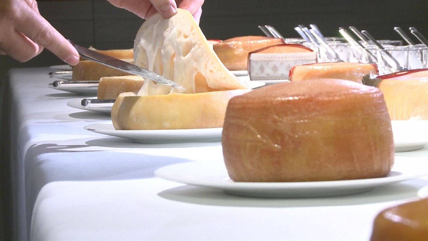 La quesería Iberqués de Casar de Cáceres gana la XIX Cata Concurso Torta del Casar 