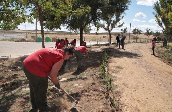 Actuaciones dentro del Plan Cohesion@