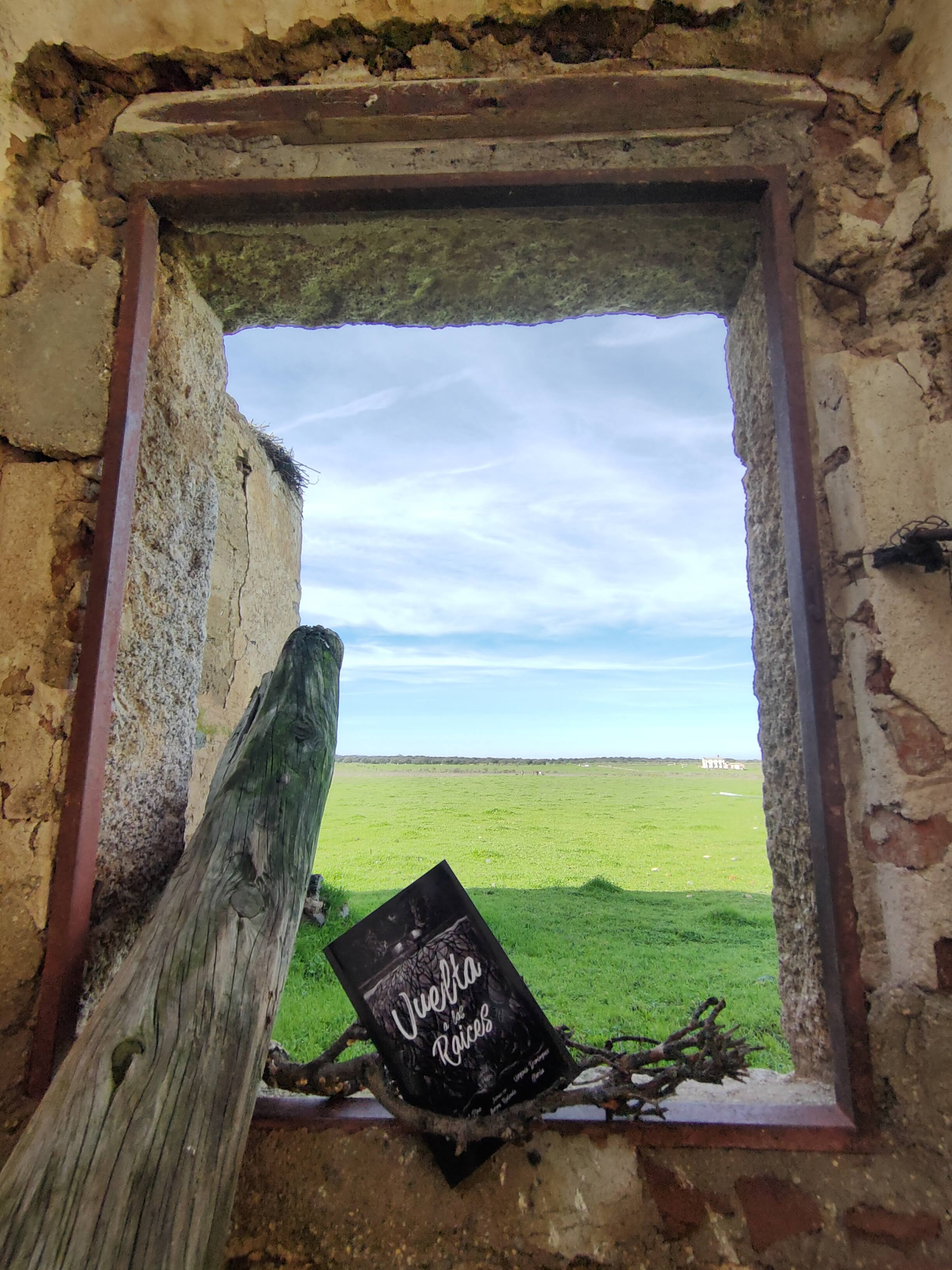 Libro Vuelta a las raíces