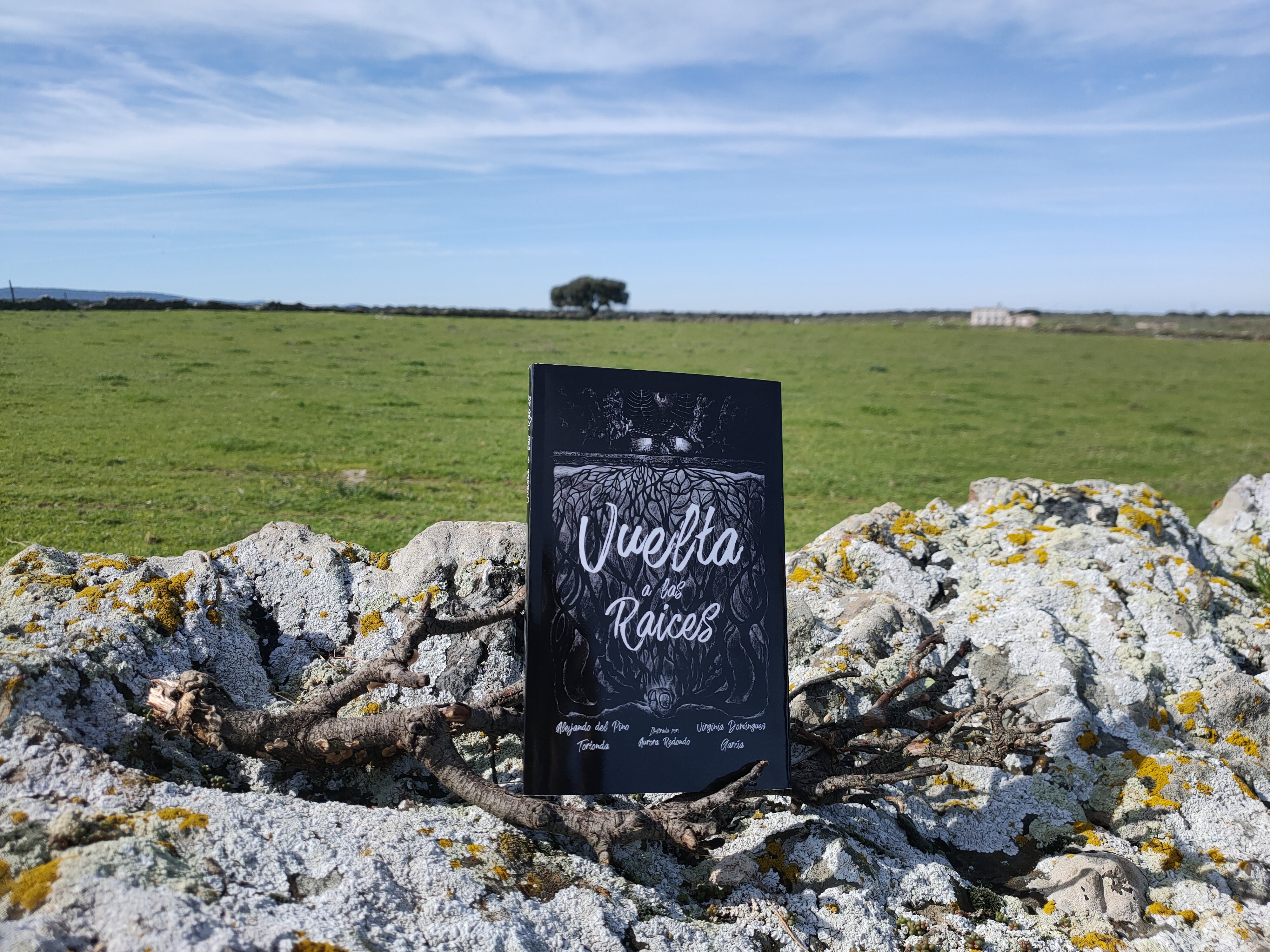 Ejemplar de 'Vuelta a las raíces'