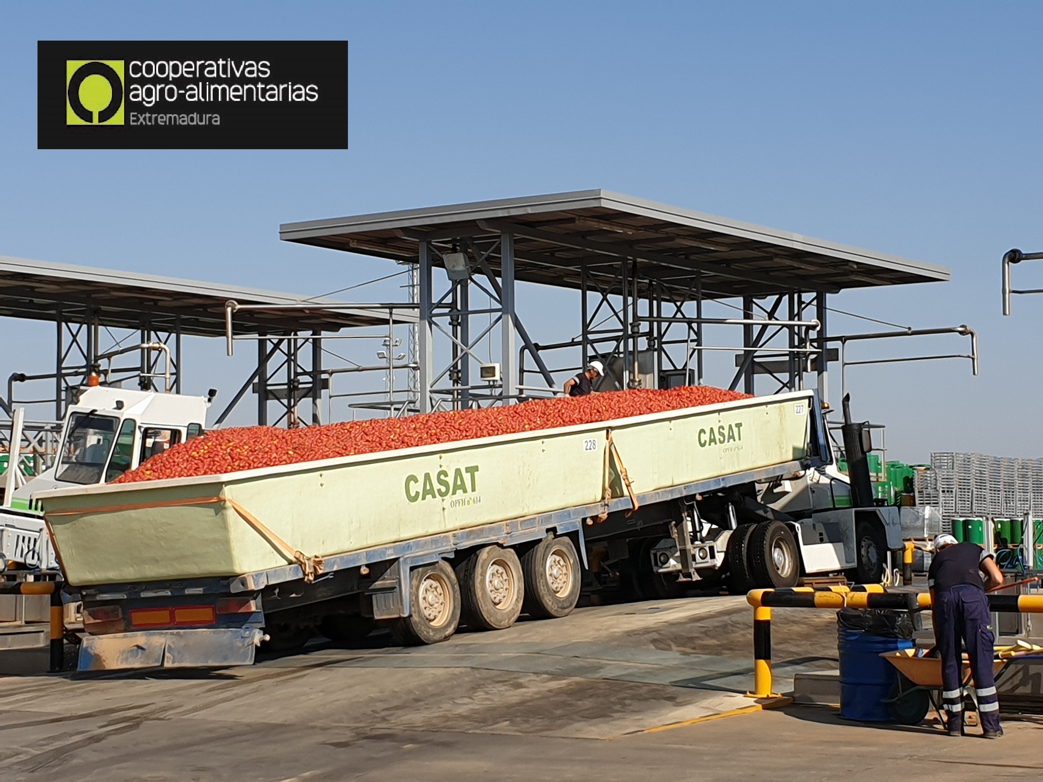 Cooperativas Agroalimentarias la fuerza de la unión