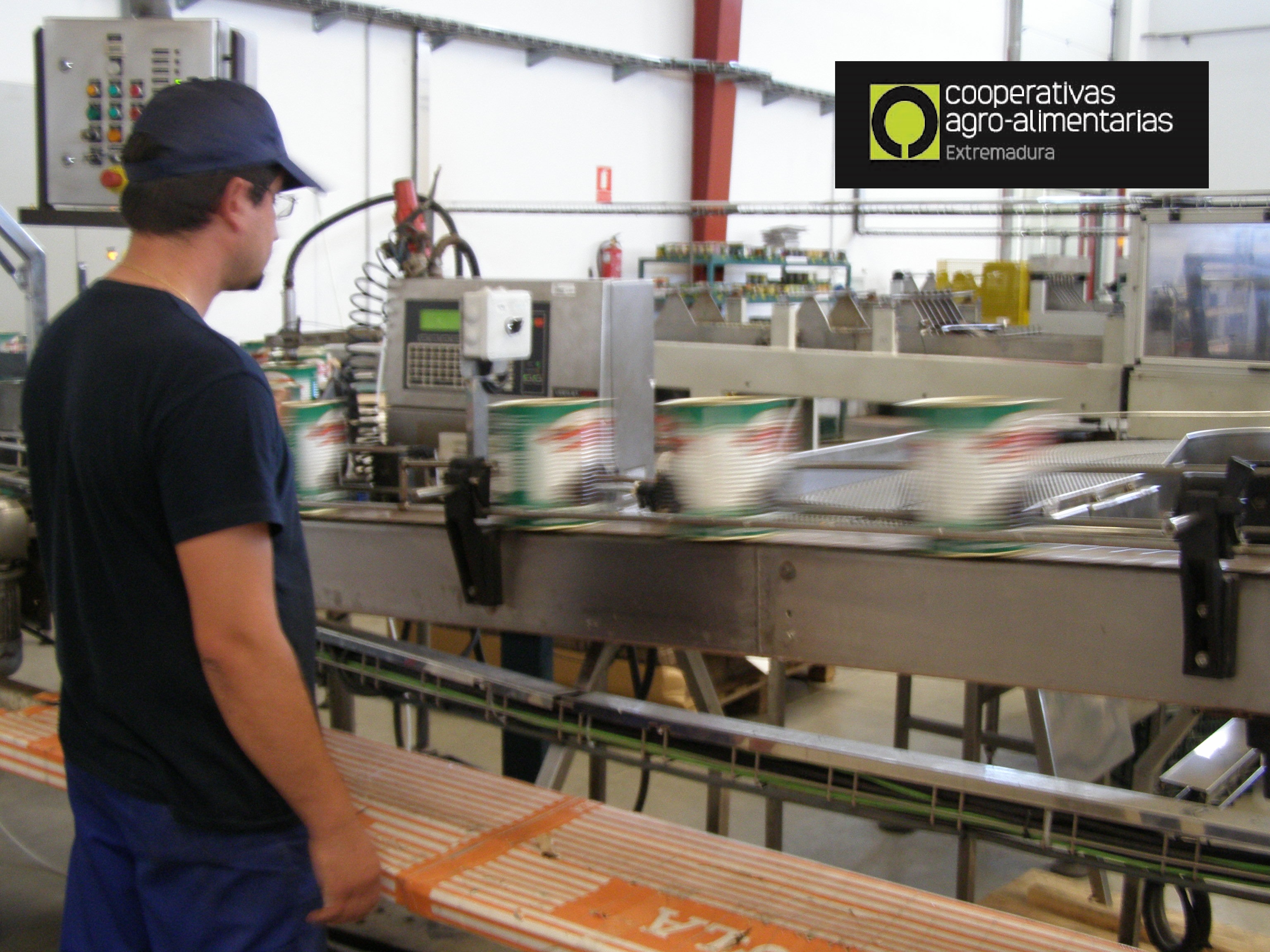 Cooperativas Agroalimentarias la fuerza de la unión