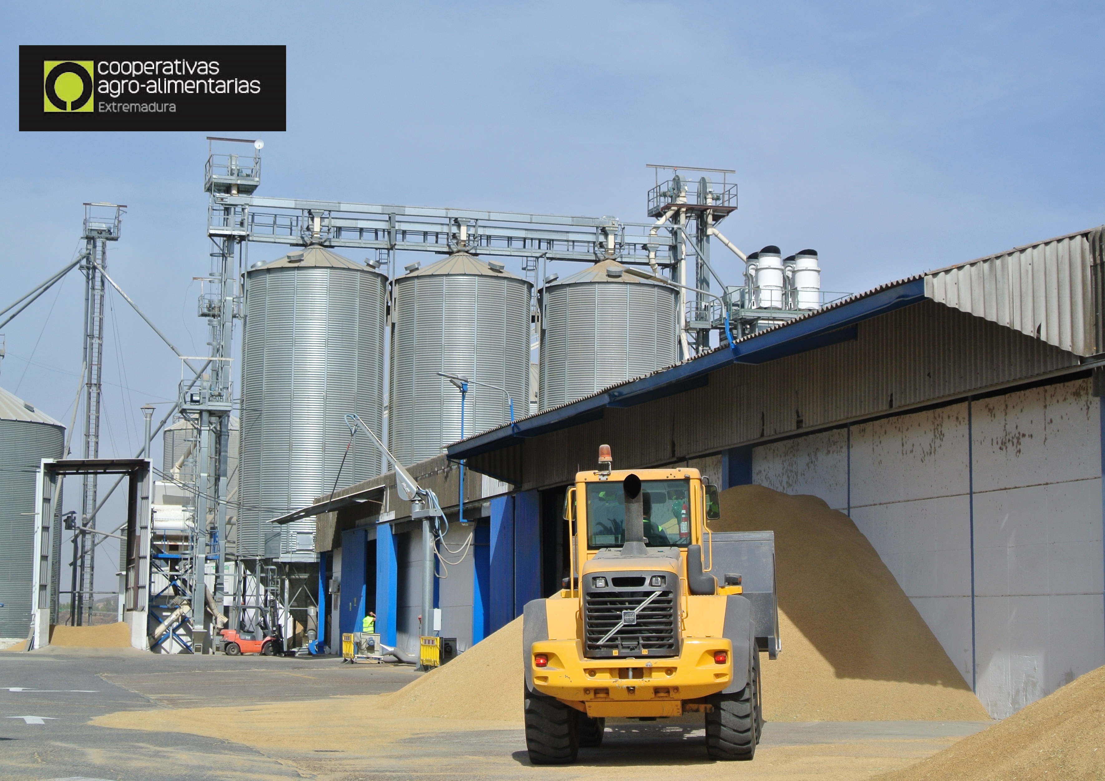 Cooperativas Agroalimentarias la fuerza de la unión