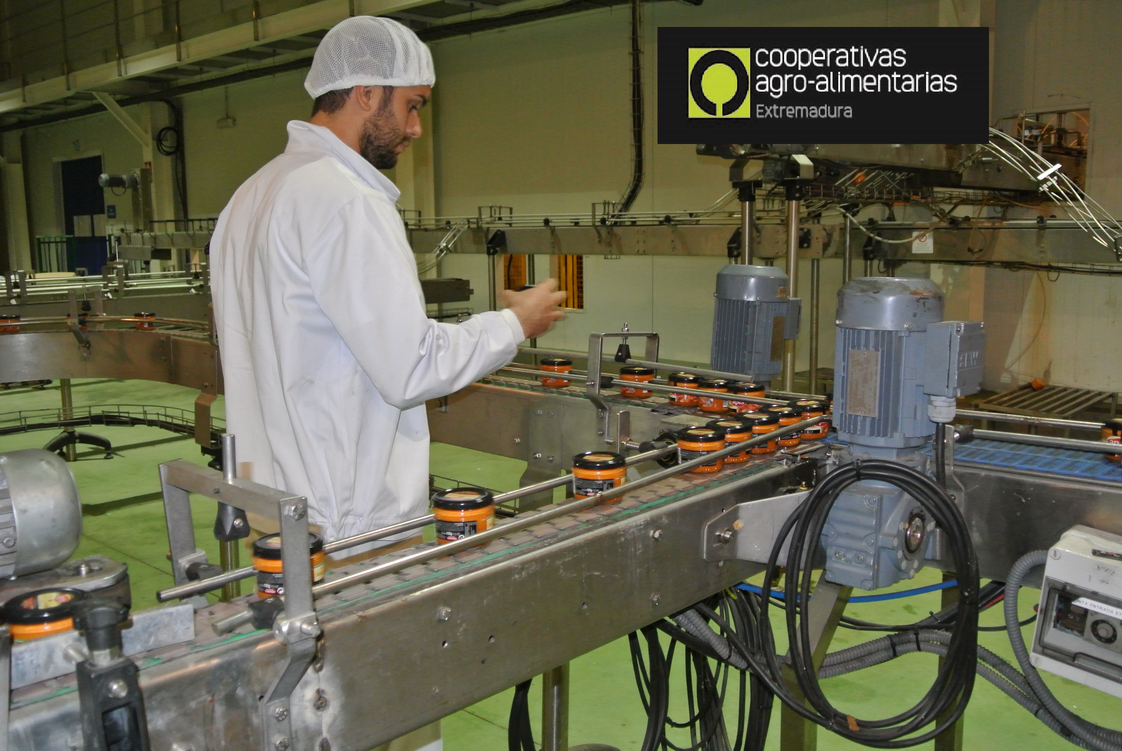 Cooperativas Agroalimentarias Valor Social