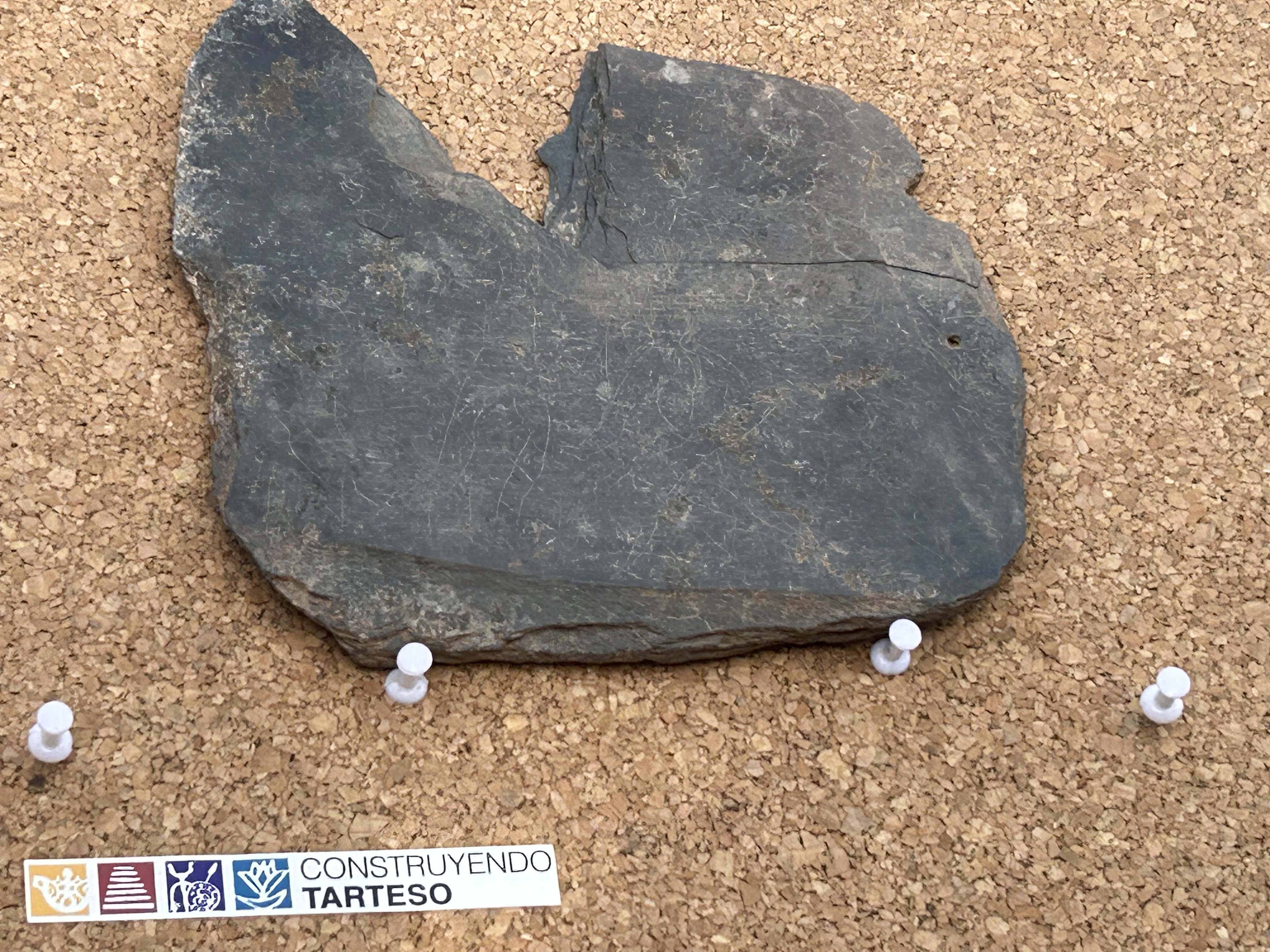 abecedario Turuñuelo