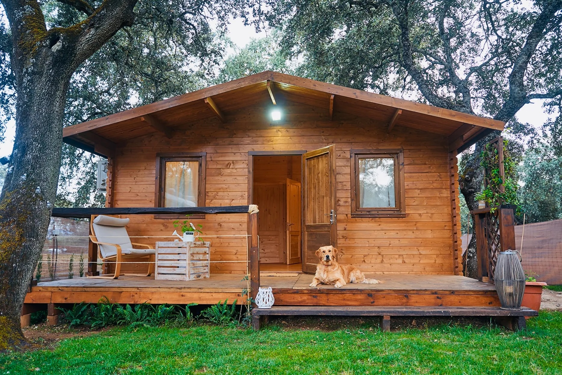 escapadas con animales