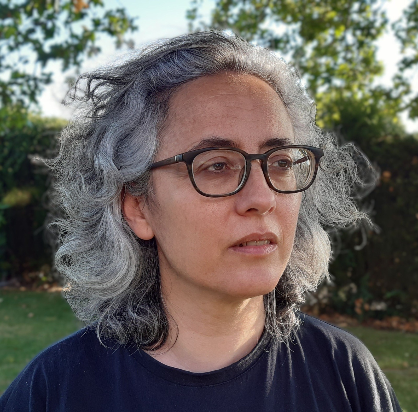 Cristina D. Silveira