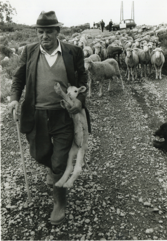 Cesareo Rey pastor extremeño